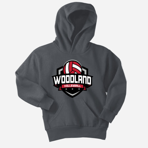 YOUTH Core Fleece Pullover Hooded Sweatshirt Thumbnail